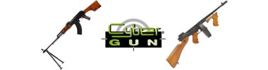 Cybergun (France)