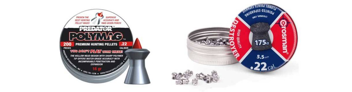 Pellets 5,5mm