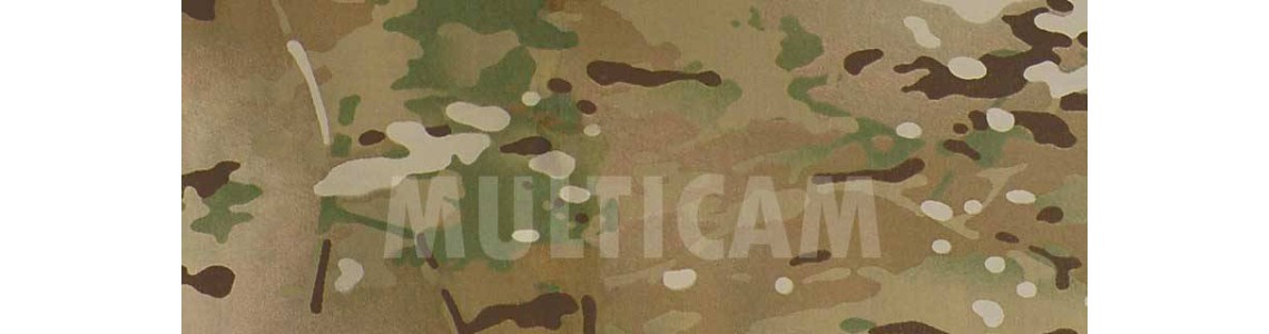 Multicam