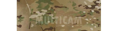 Multicam