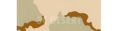 Desert Camo