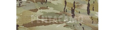 Pentacamo