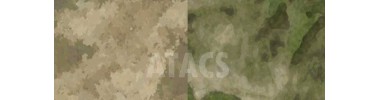 A-Tacs Camo