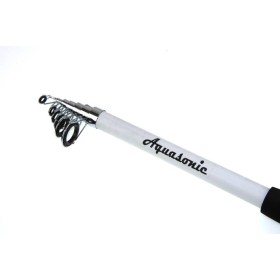 Fishing Rod Casting Pegasus 2,1M / 20-40gr
