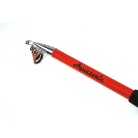 Fishing Rod Casting Pegasus 3,3M / 40-80gr