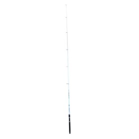 Fishing Rod Casting Pegasus 3,6M / 40-80gr