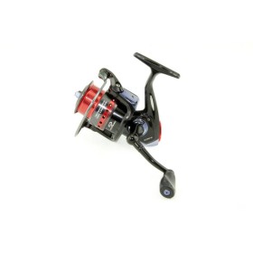 Starfire Alcino 40 Reer