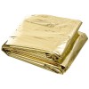 MFH Emergency Blanket - Silver / Gold
