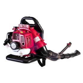 Raider RDP-SEBV20 Cordless Blower Vacuum Shredder Solo