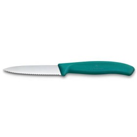 Victorinox Swiss Classic Paring Knife - Kale Green