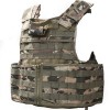 Plate Carrier (Multicam)